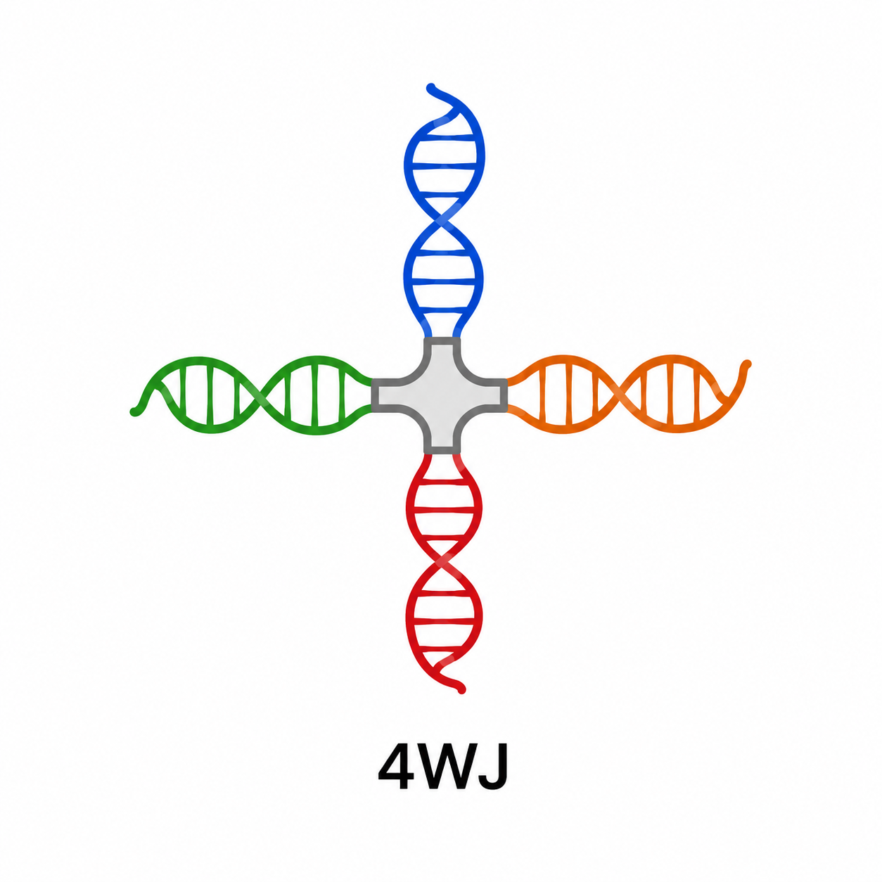 4WJ RNA Nanoparticle